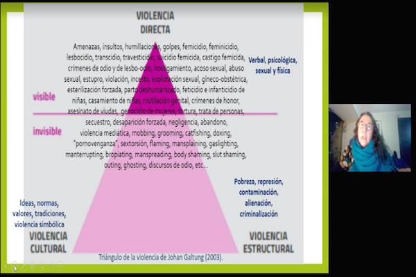 Con clase abierta sobre crisis, familias y violencias inició el Diplomado en Violencia en la Familia de la UST