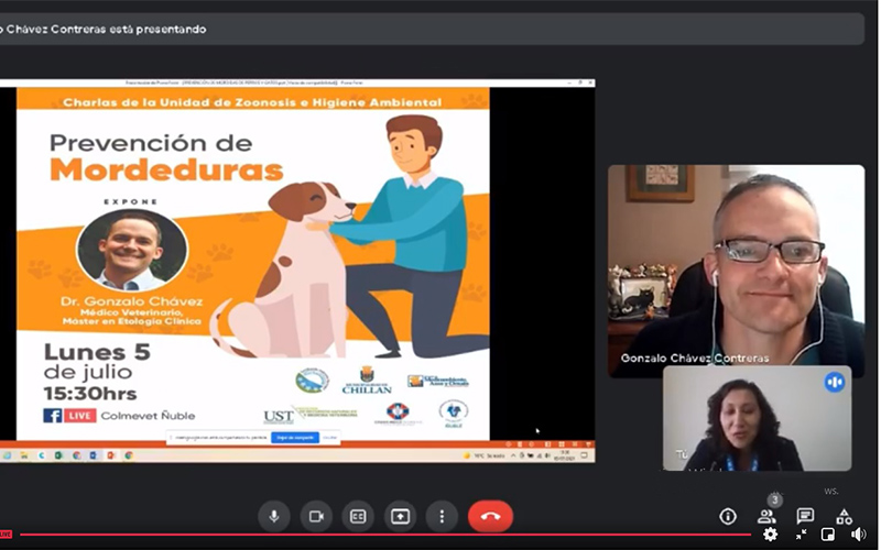 Coordinador de Observatorio de Tenencia Responsable y Vínculo Humano-Animal de UST entrega tips para prevenir mordeduras de perros y gatos