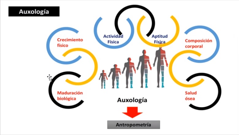 Seminario sobre Rendimiento Deportivo tuvo gran participación nacional e internacional