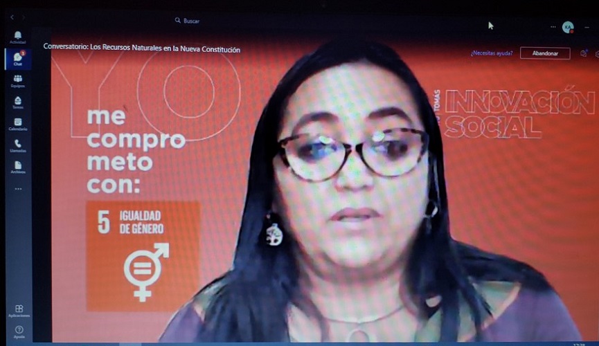 Área Recursos Naturales de Santo Tomás debatió sobre nueva Constitución