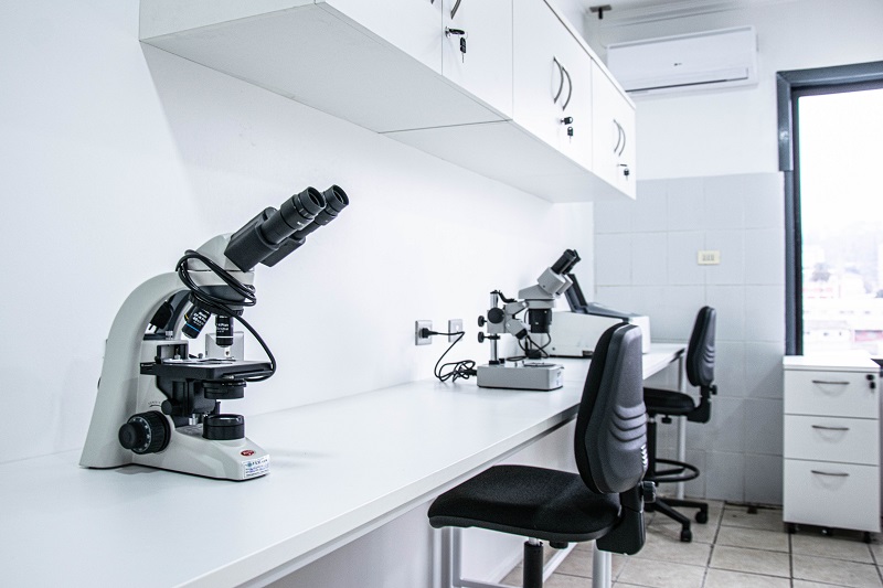 Centro de Investigación Bahía Lomas UST apuesta por la investigación e innovación en la Región del Biobío