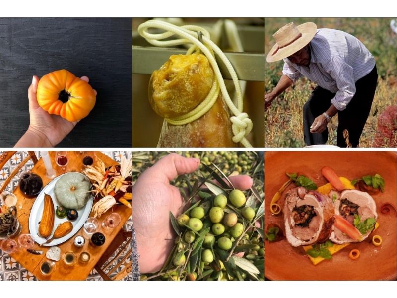 Seminario de turismo gastronómico se enfocará en la Región de O’Higgins