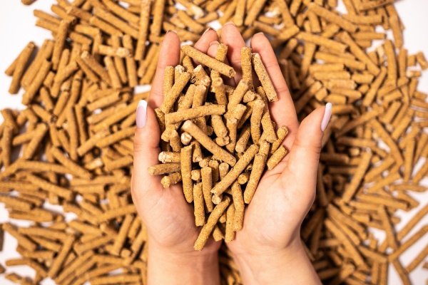Proyecto valdiviano que genera pellet a partir de residuos orgánicos ya cuenta con piloto experimental