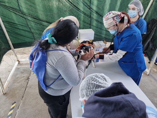 Medicina Veterinaria de la UST Talca realizó operativo en Día Mundial contra la Rabia
