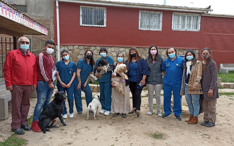 Alumnas de Técnico en Veterinaria y Producción Pecuaria participan en operativo sanitario para mascotas en Papudo