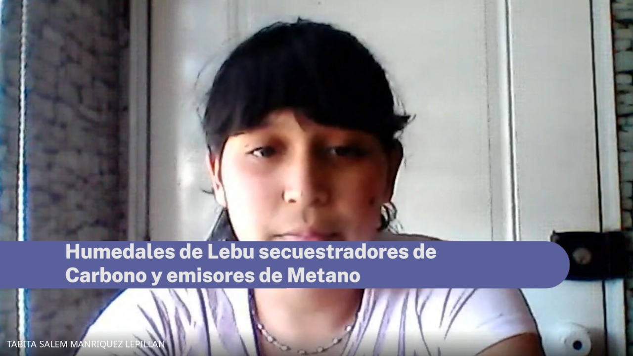 Investigación escolar asesorada por académica de UST Concepción participará del Congreso Nacional Escolar de Explora