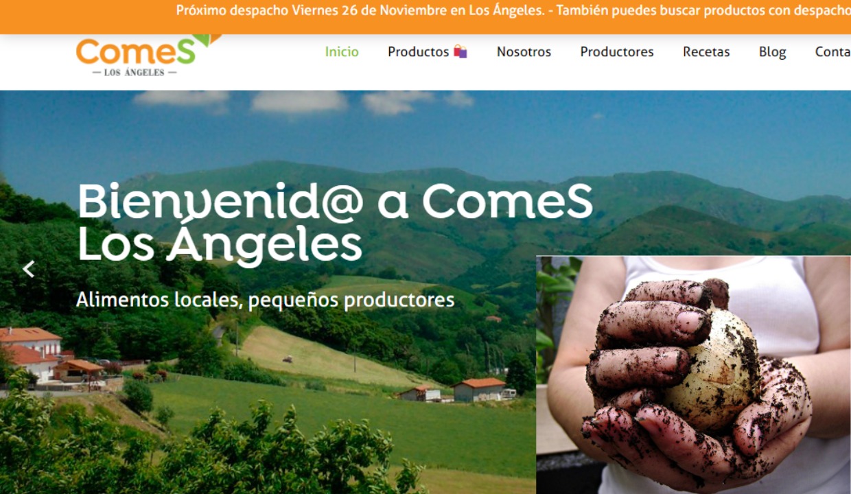 Docente de Ingeniería Comercial UST Los Ángeles triunfa a nivel nacional con empresa de alimentos saludables