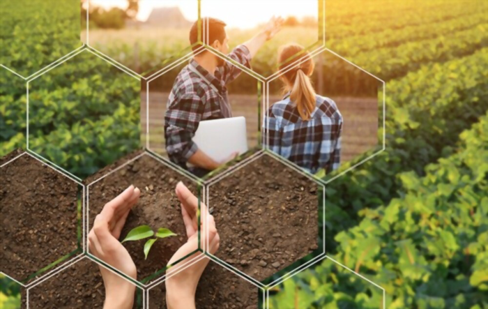 Técnico e Ingeniería Agrícola: formando profesionales a través de una mirada sustentable