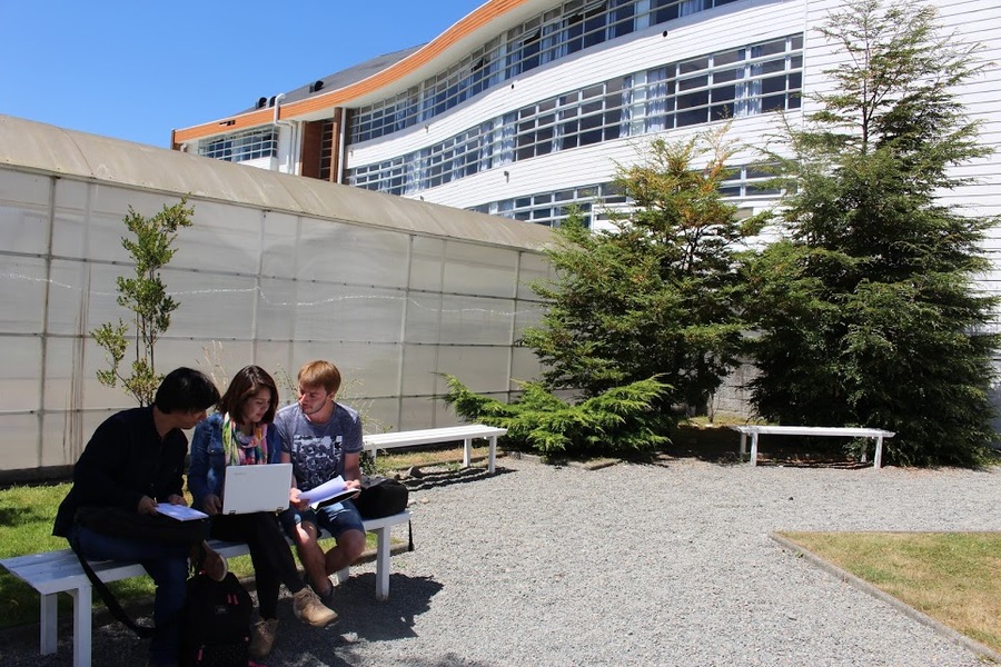 Universidad Santo Tomás apoyará proceso de postulación para nuevos estudiantes