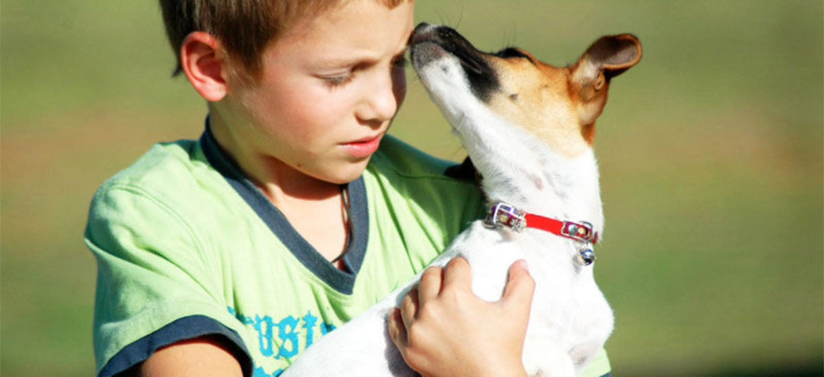 Cuidados de mascotas con necesidades especiales o discapacidad