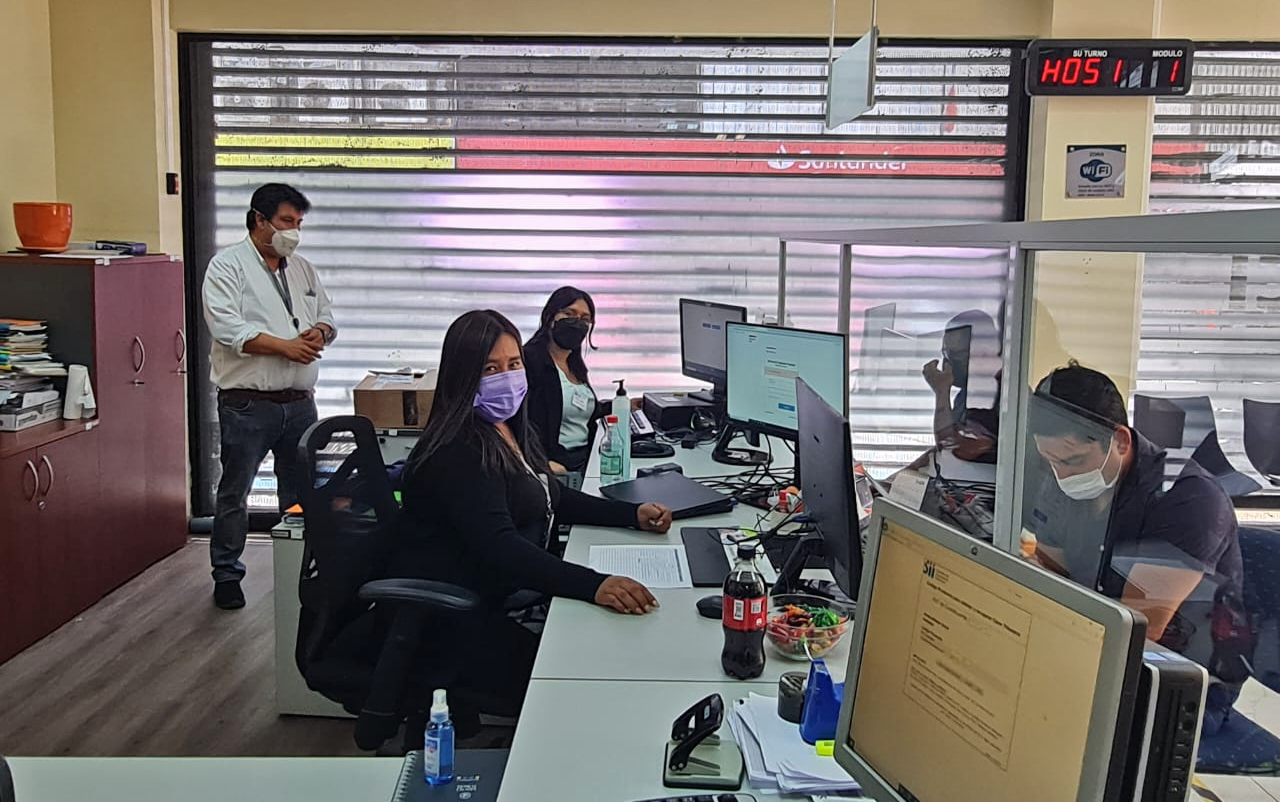 Tomasinos y tomasinas participan por segundo año consecutivo en la Operación Renta junto al SII