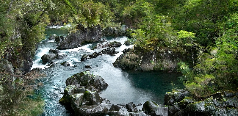 Doctor y Académico UST Osorno es nombrado director del programa Doctorado en Conservación y Gestión de la Biodiversidad