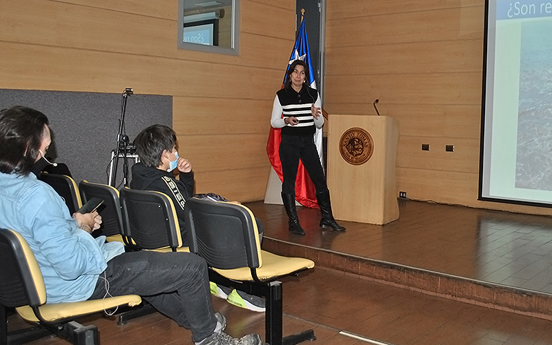 Medicina Veterinaria de UST Viña del Mar y ONG Panthalassa realizan seminario para analizar relación entre los humanos y los mamíferos marinos