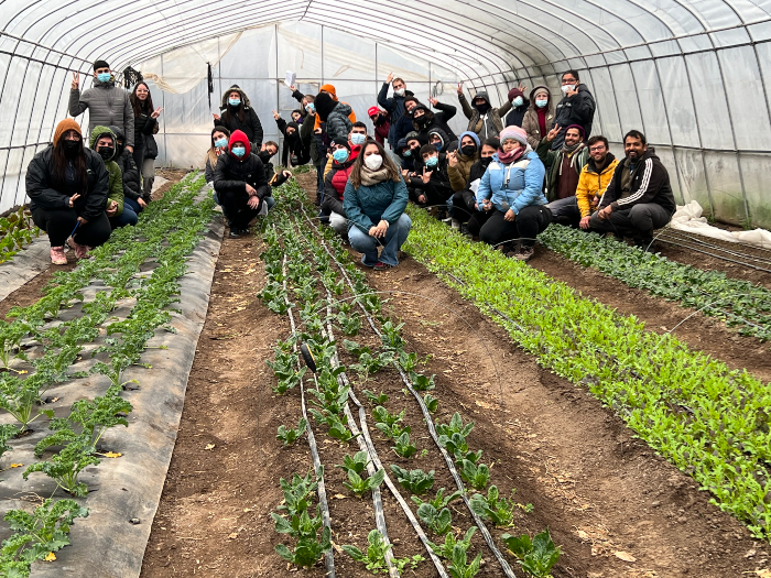 Tomasinos de Técnico Agrícola refuerzan su aprendizaje con visita a huerta orgánica