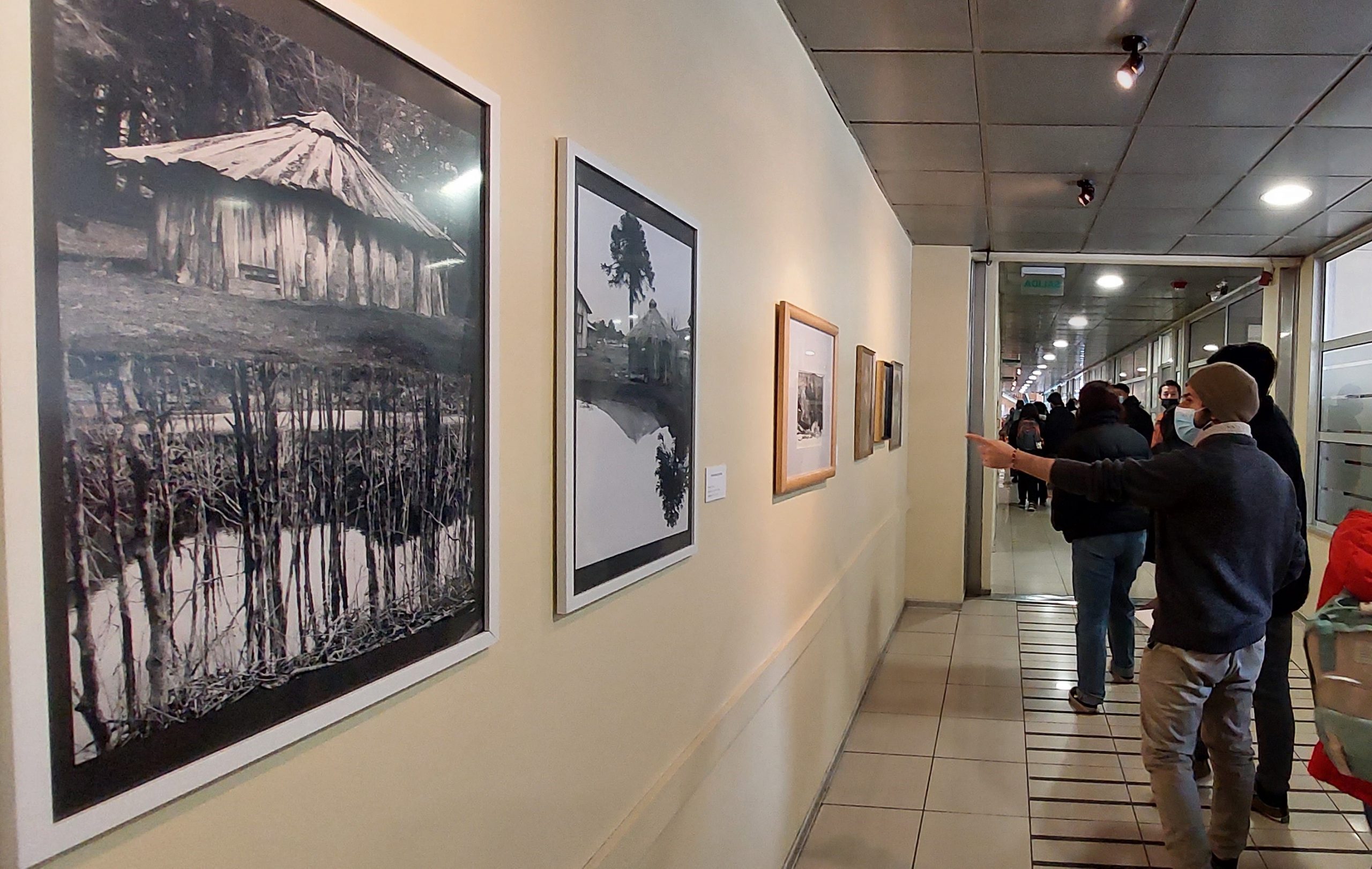 Obras de artistas penquistas transforman pasillos de Santo Tomás en una galería de arte