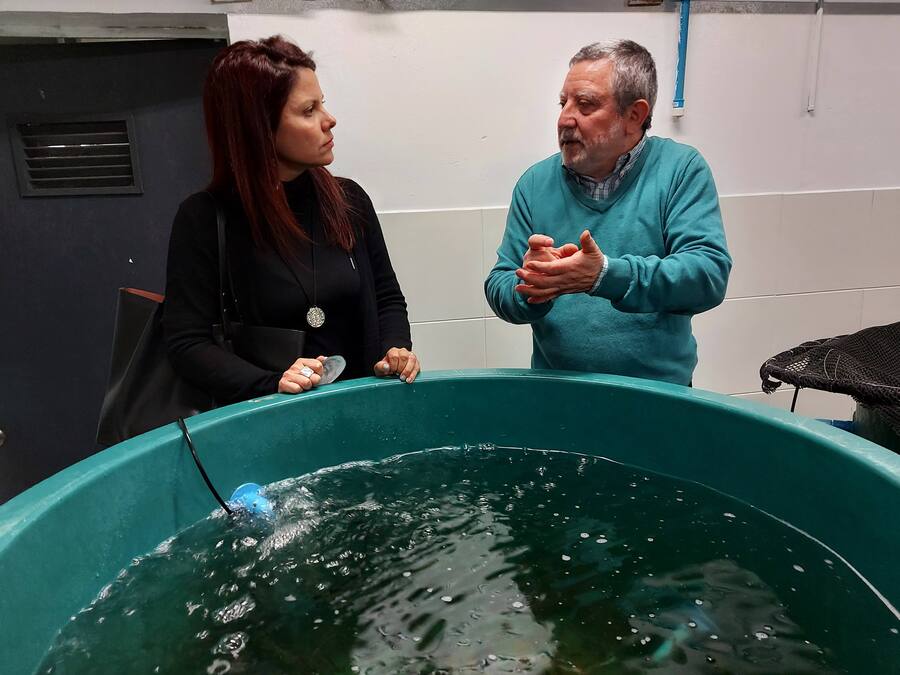 Decana de Recursos Naturales y Medicina Veterinaria visitó sede Puerto Montt y realizó positivo balance