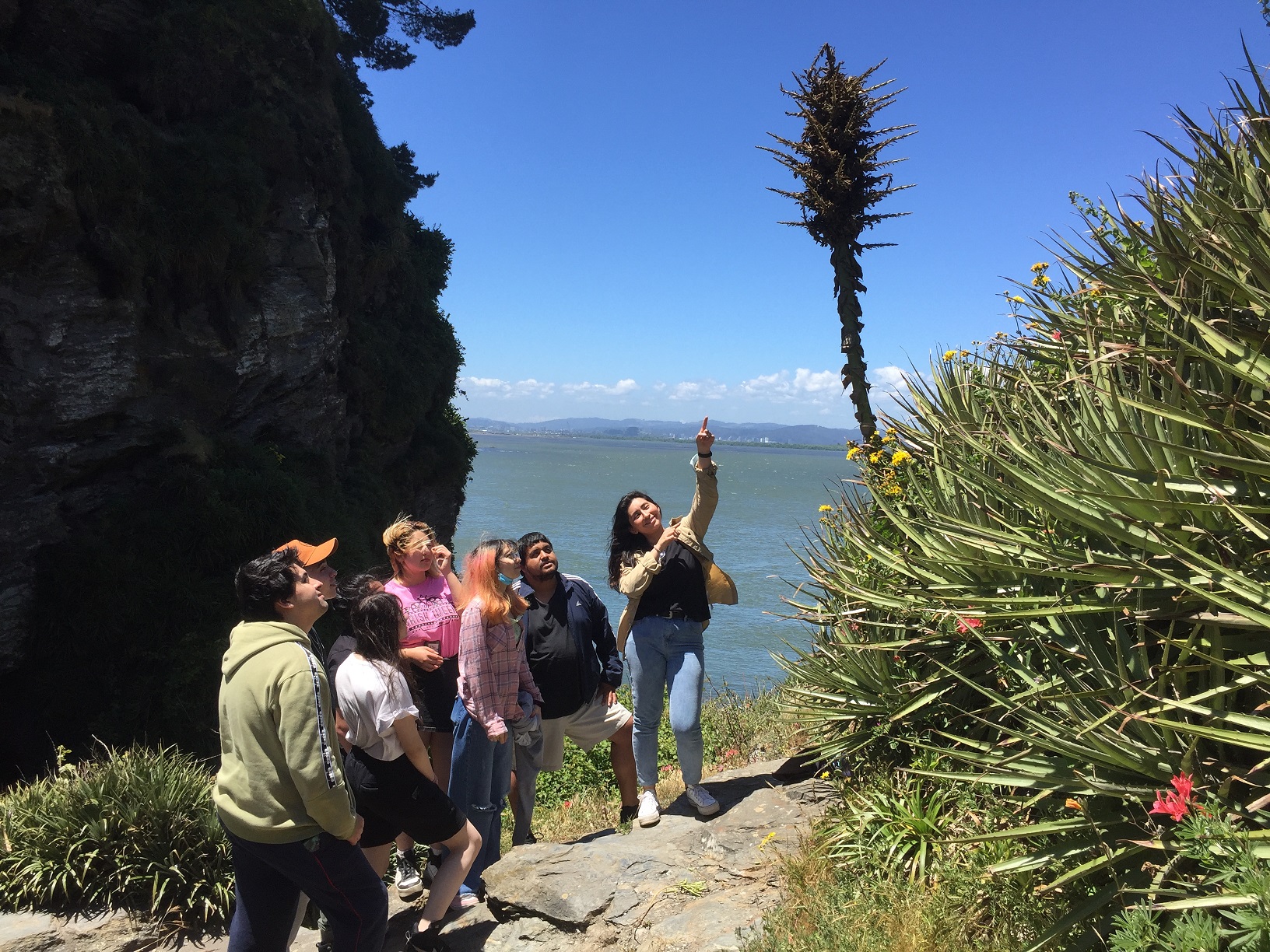 Estudiantes tomasinos de Concepción con el enfoque en el cuidado medioambiental