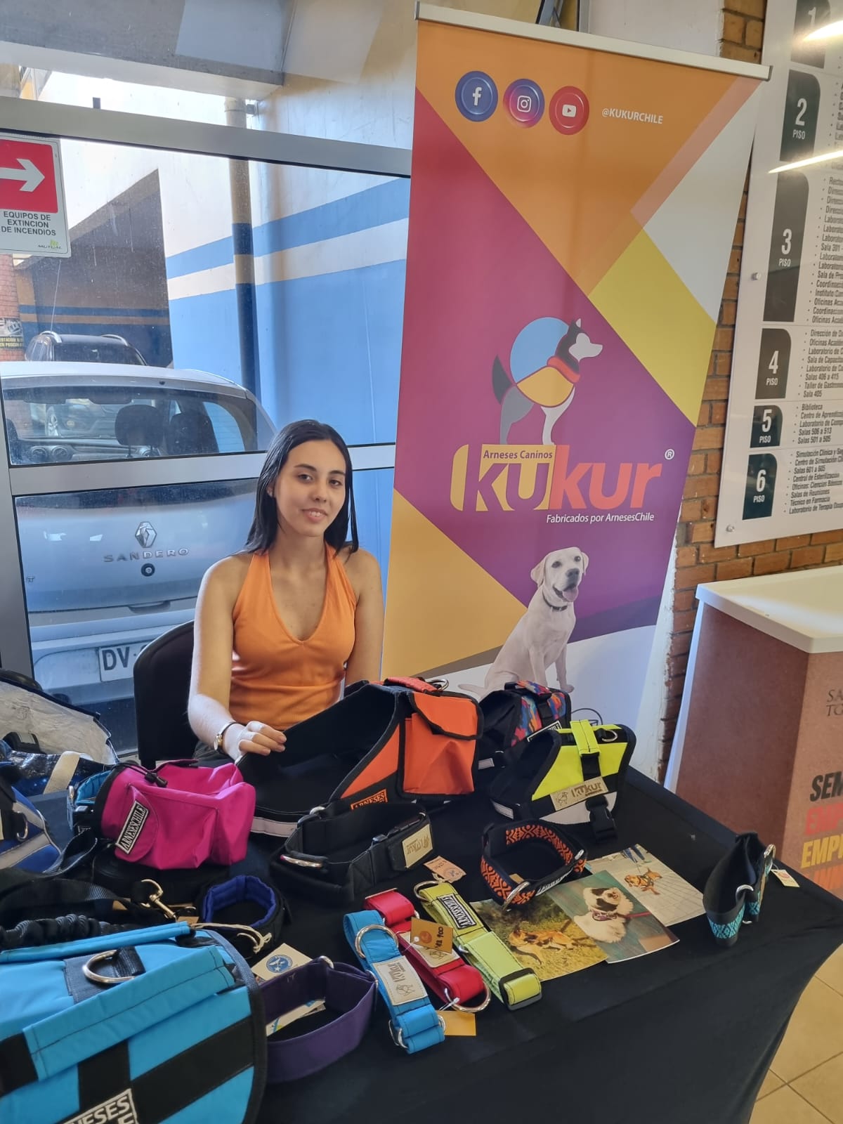 Santo Tomás lanza Feria de la Empleabilidad, Emprendimiento e Innovación