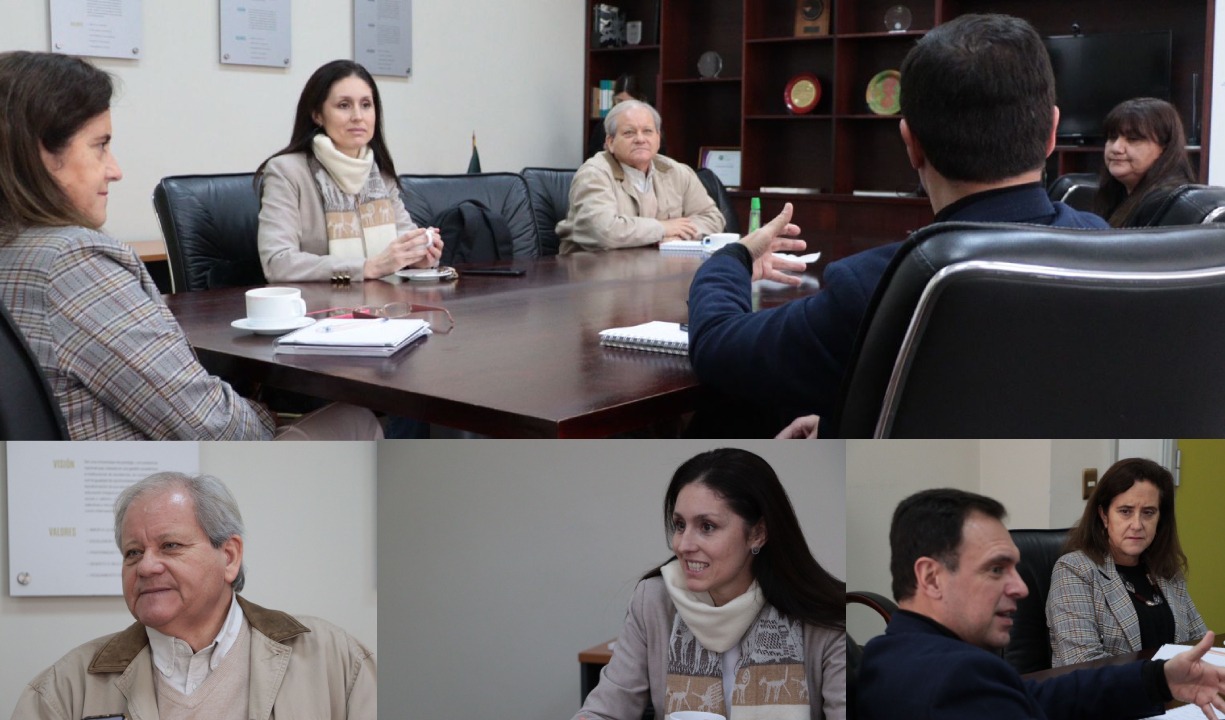 Fotonoticia: Proyectan alianza entre el IP CFT Santo Tomás Talca y Red Futuro Técnico para fortalecer la Educación Media Técnico Profesional local