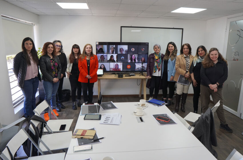 Sesionó por primera vez la Mesa de Género de Ciencia, Tecnología, Conocimiento e Innovación en la macrozona sur