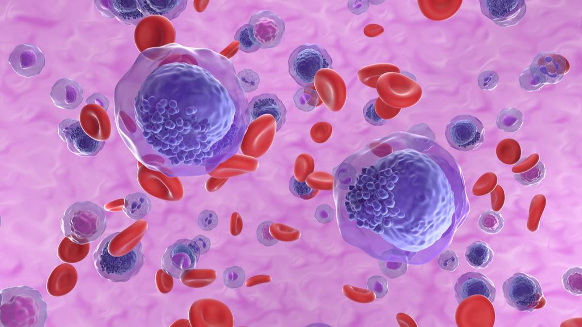 Académico Santo Tomás Osorno realiza estudio en vinculación con la Universitat de Valencia enfocado en la Leucemia