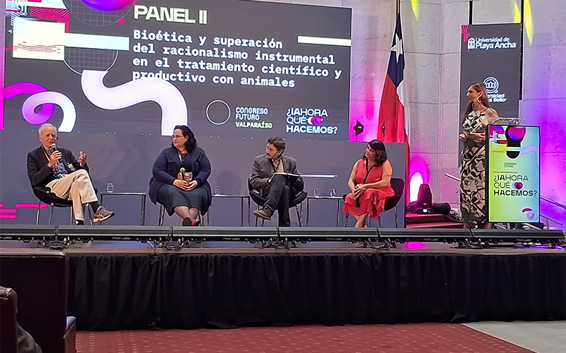 Universidad Santo Tomás sede Viña del Mar fue protagonista en Congreso Futuro Valparaíso 2024