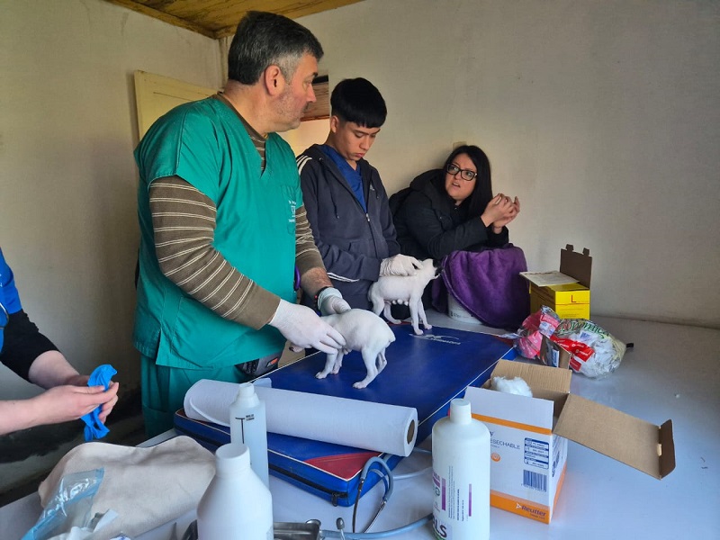 Medicina Veterinaria UST Santiago realizó exitoso operativo médico veterinario en Curacaví