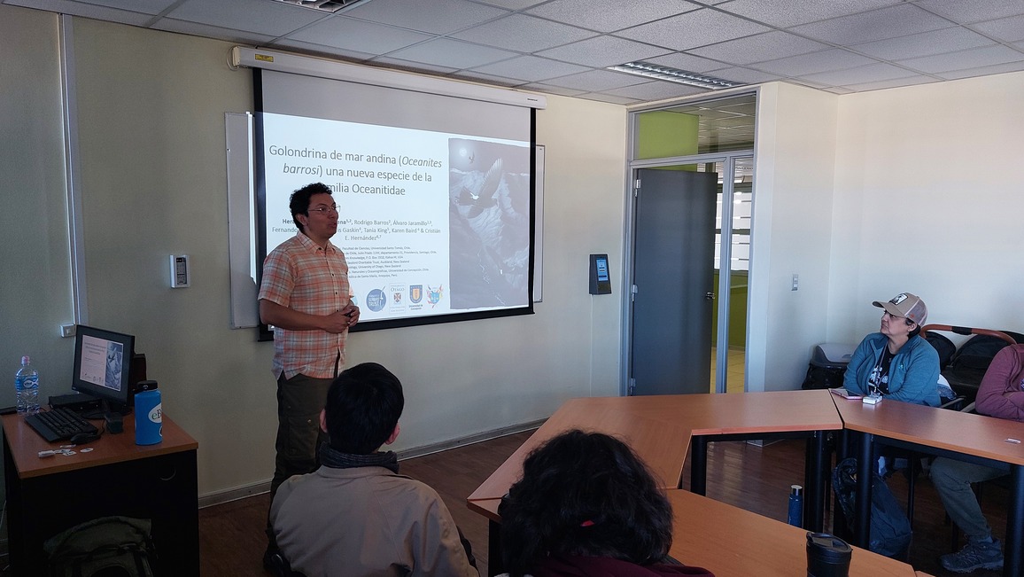 Observadores de aves del Biobío realizaron su primera reunión oficial en Santo Tomás Concepción