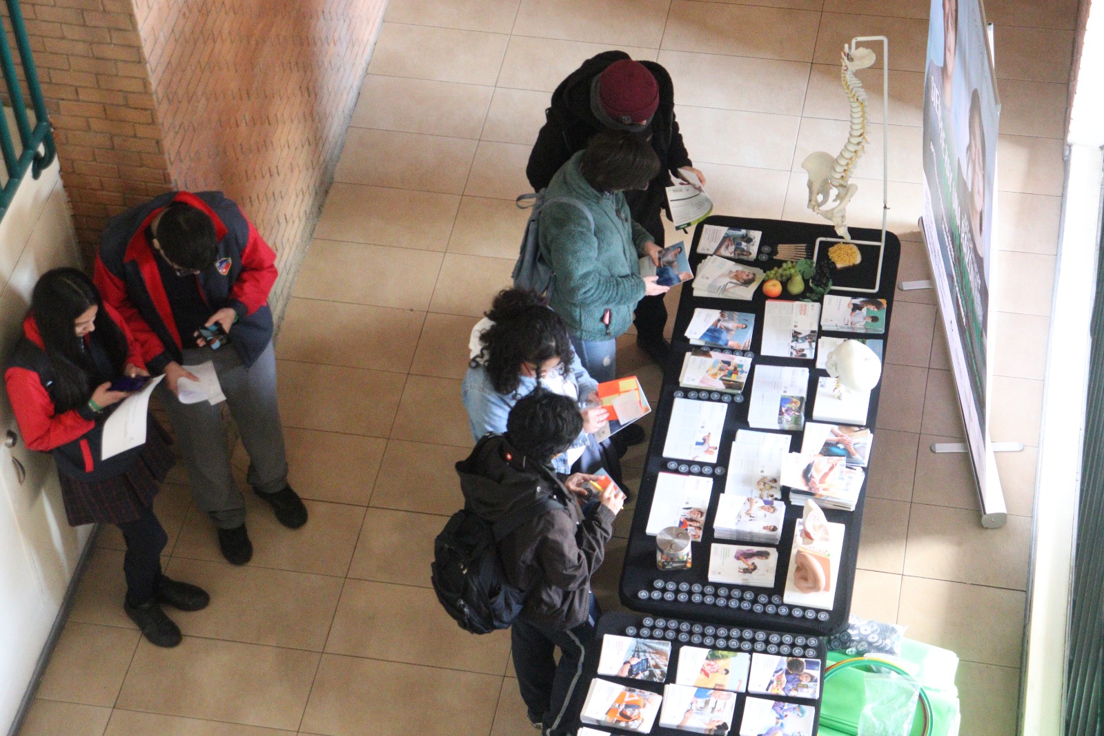 Santo Tomás Los Ángeles celebra éxito de "Tomasino por un Día" con más 500 estudiantes