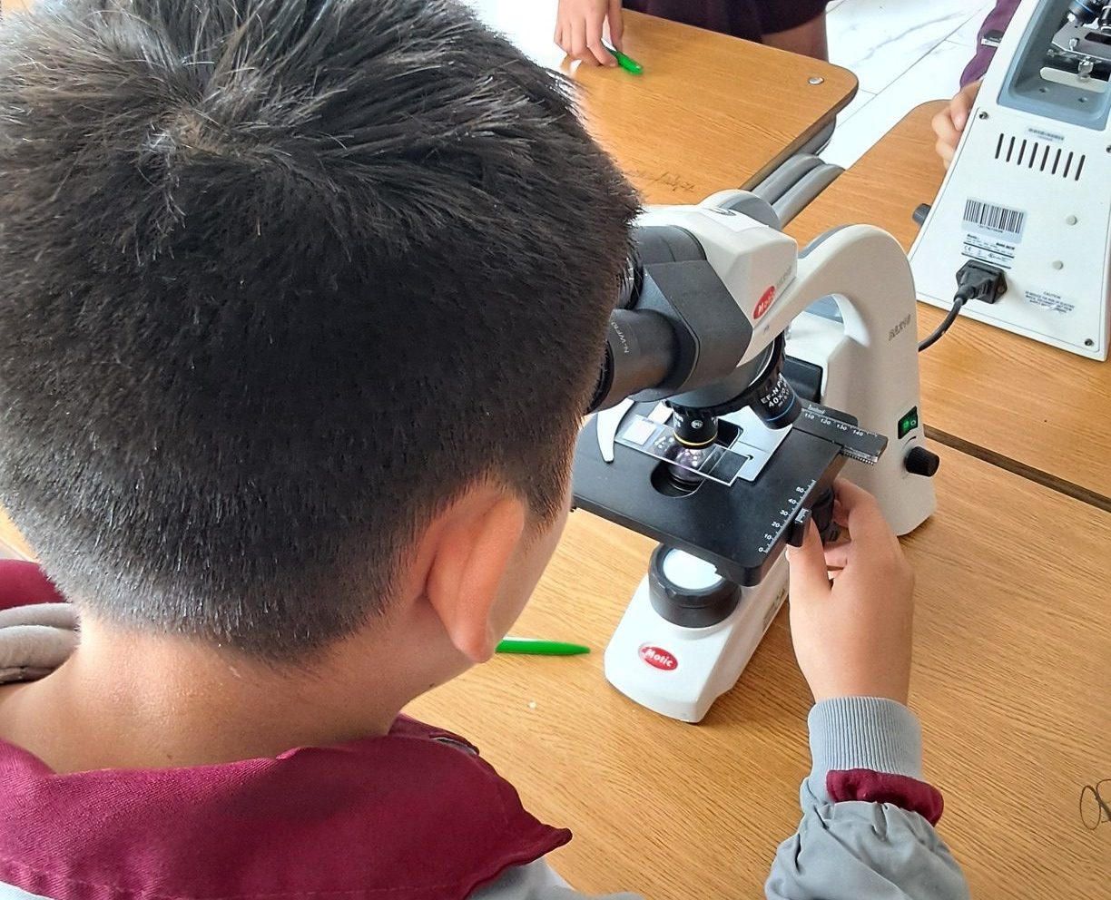 Departamento de Ciencias Básicas UST Concepción apoyó al Colegio Alborada para celebrar el “Día de las Ciencias”