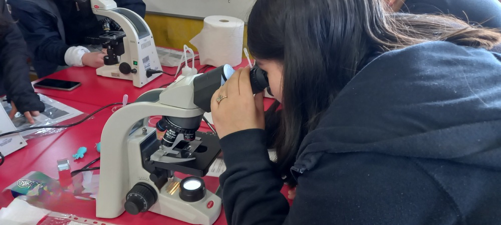 Estudiantes del Colegio Amanecer analizaron la importancia de los humedales en actividad organizada por equipo de Centro Bahía Lomas y Departamento de Ciencias Básicas de Santo Tomás Concepción