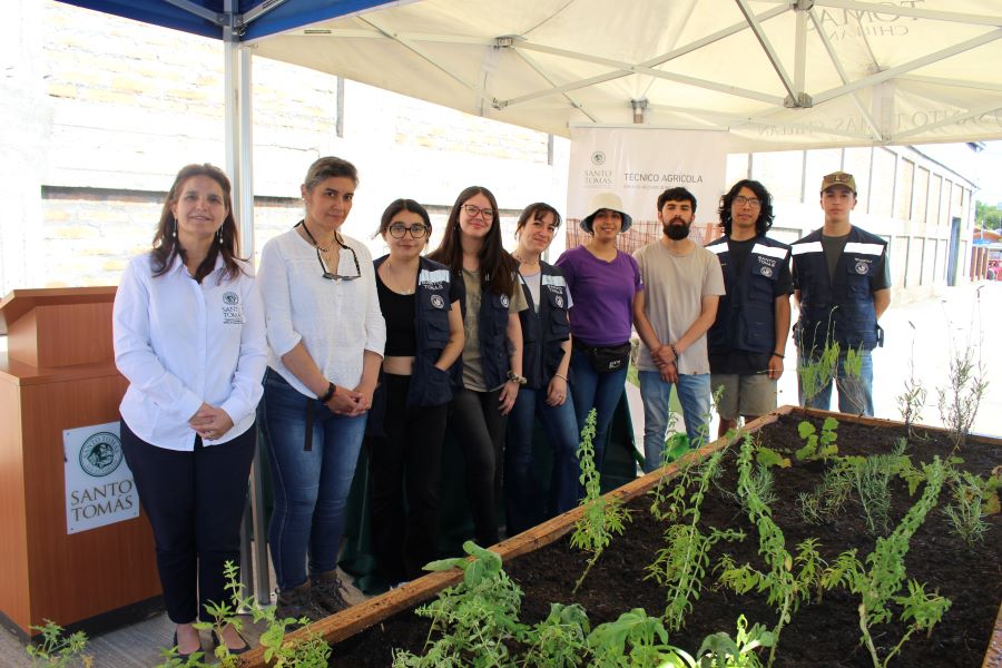 Vecinos de la Vicente Pérez Rosales y Santo Tomás impulsan huerta medicinal comunitaria