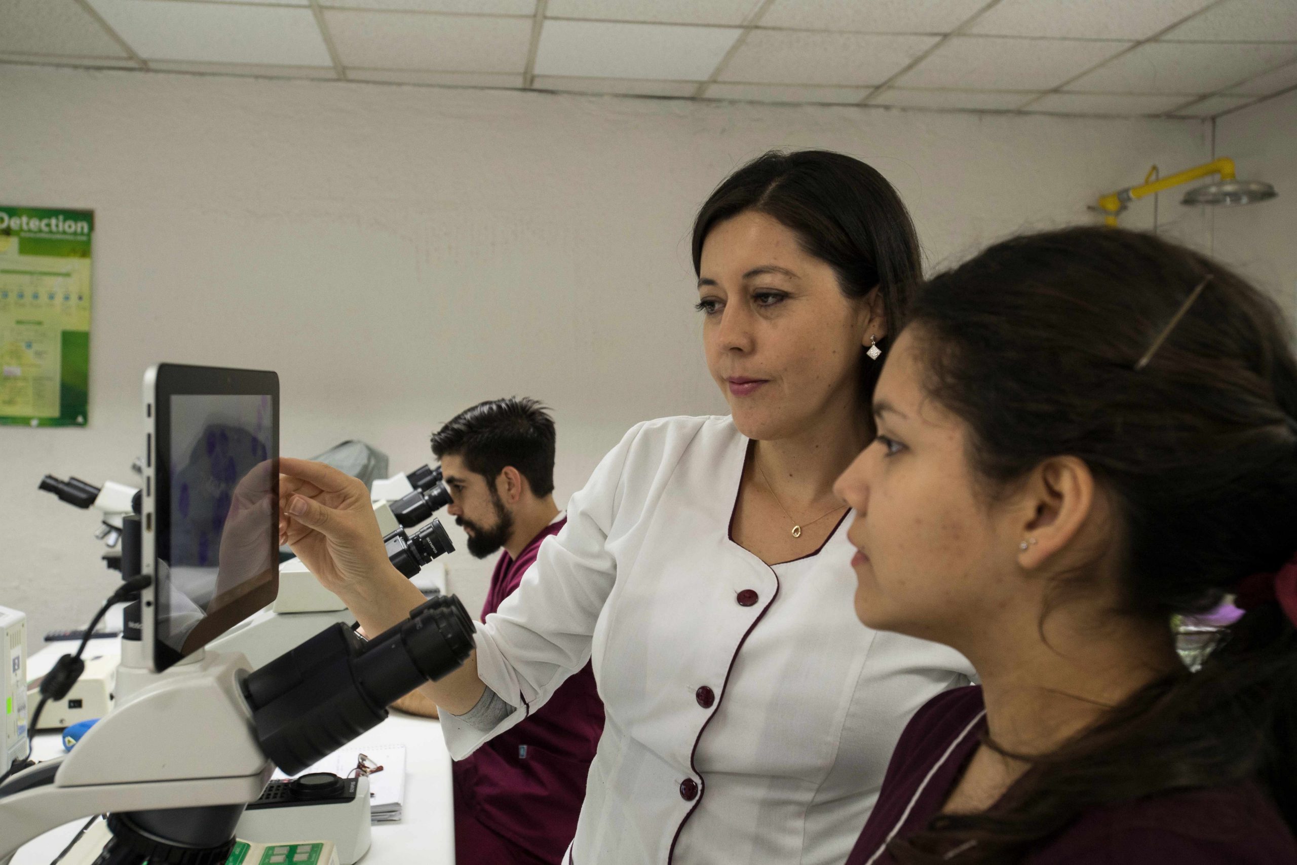 Universidad Santo Tomás fortalece su cuerpo académico