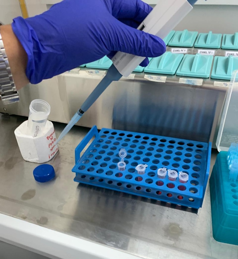 Académicos UST Osorno exponen investigación que alerta la probabilidad de transmisión de enfermedades entre especies invasoras y nativas con alcance a los seres humanos