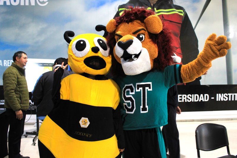 Área de Recursos Naturales de Santo Tomás celebró el Día Internacional de las Abejas con jornada educativa y feria apícola