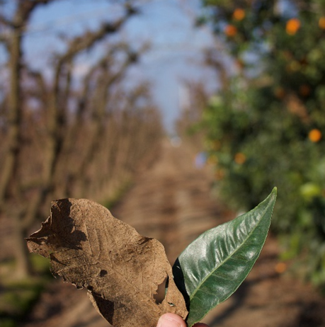 Área de Recursos Naturales de Santo Tomás organiza certamen fotográfico para sus estudiantes