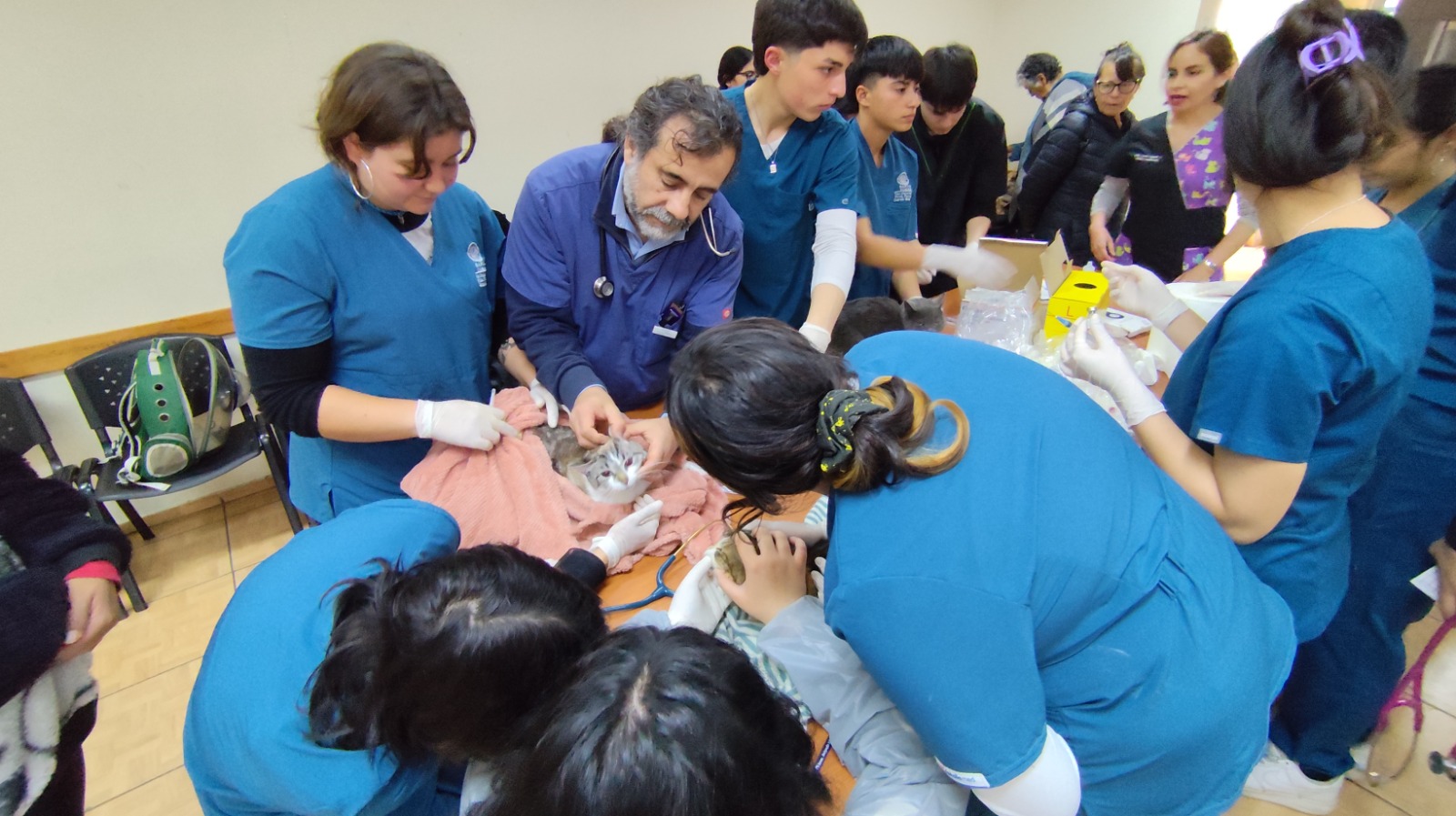 Tomasinos de Técnico en veterinaria realizaron operativo gratuito para mascotas en el sector centro sur de La Serena