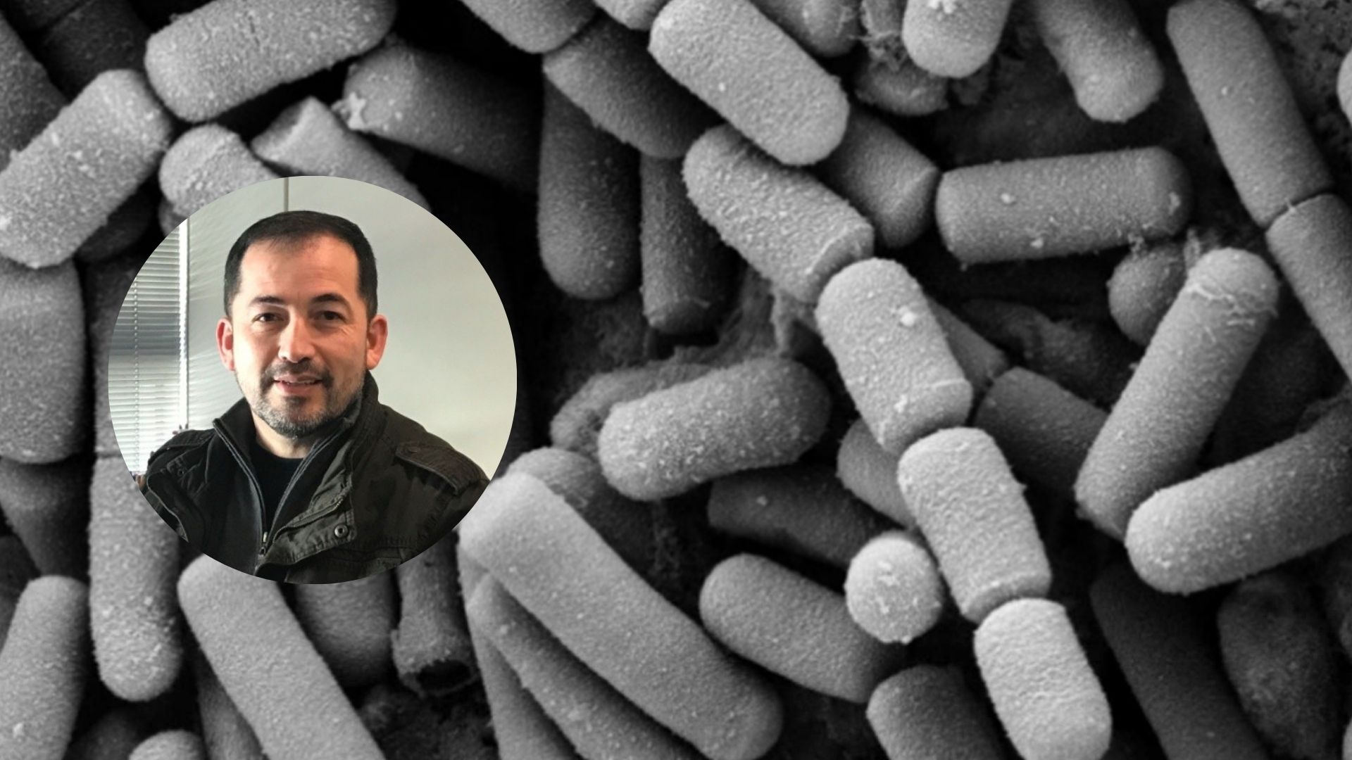 Investigadores de Santo Tomás desarrollan biofungicidas bacterianos a partir de cepas nativas