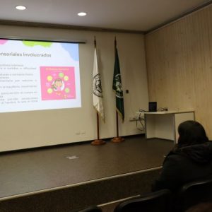 Seminario sobre inclusión y TEA convocó a profesionales de educación en Santo Tomás Ovalle