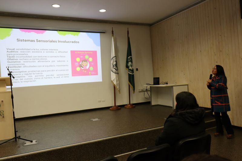 Seminario sobre inclusión y TEA convocó a profesionales de educación en Santo Tomás Ovalle