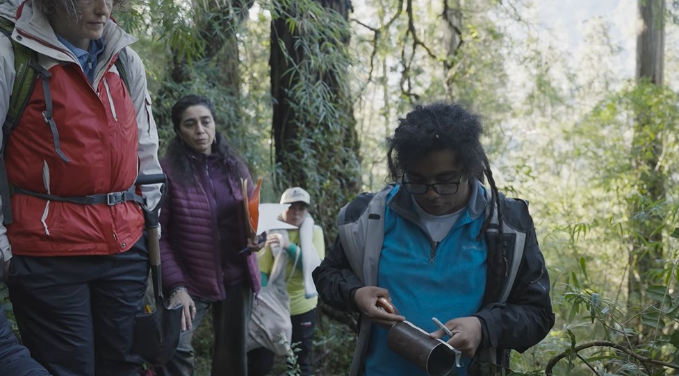 Mini-documental muestra el trabajo de ciencia ciudadana del Dr. César Marín en los bosques de alerce andino