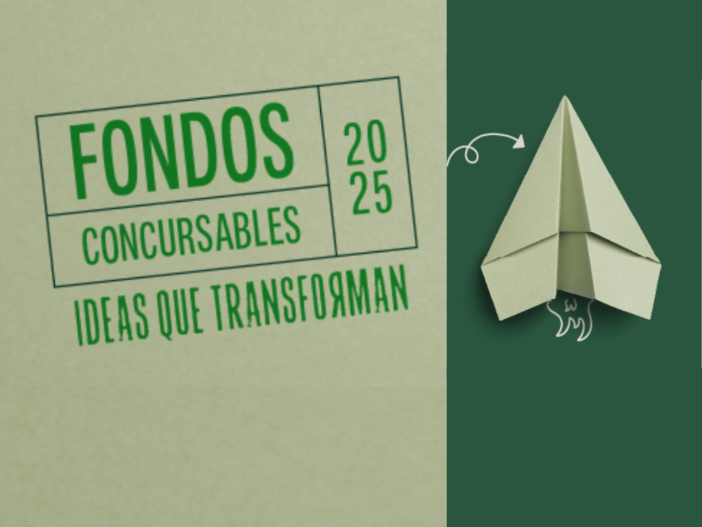Fondos Concursables benefician a 104 proyectos de la comunidad estudiantil