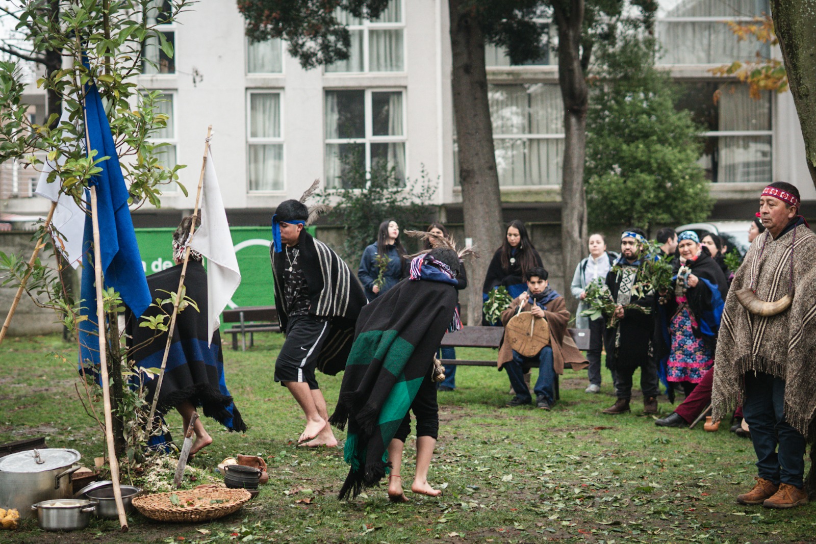 Con identidad y tradición: Santo Tomás Temuco conmemora el Wiñol Tripantu