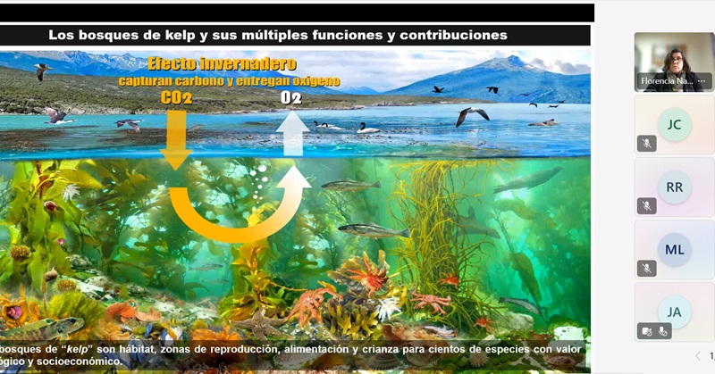 Centro de Investigación CAPIA reúne a especialistas en innovación y aplicaciones asociadas al cultivo de algas