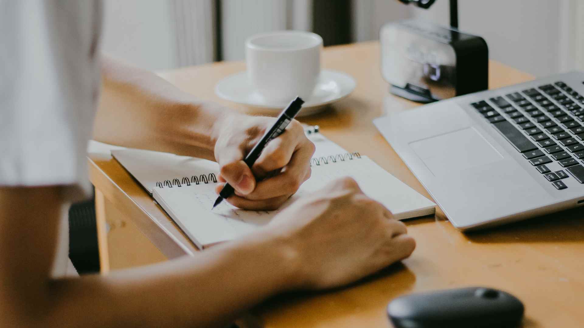 Programa de Orientación Profesional y Emprendimiento finaliza con éxito su primera edición