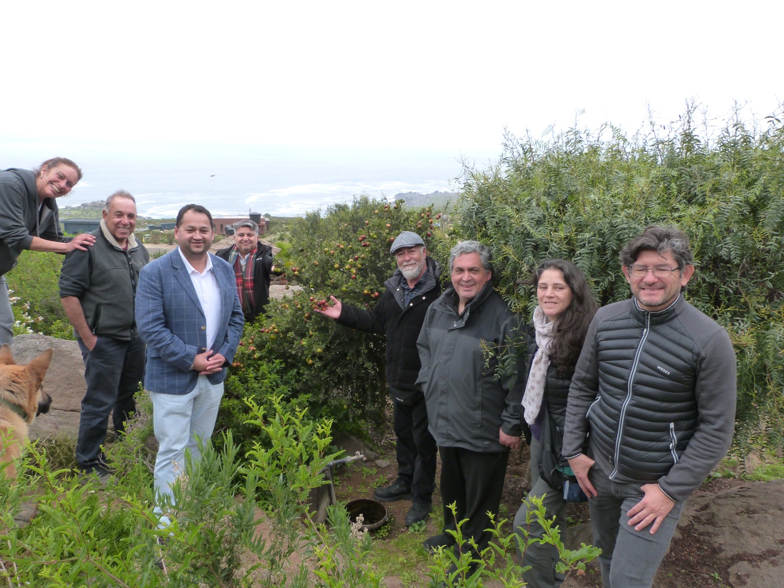 Profesionales de UST La Serena se suman a recorrido junto a Seremi de Medio Ambiente que destaca la preservación de Flora endémica