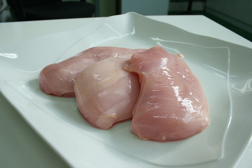 Experta de UST Temuco analiza amenaza de influenza aviar que suspendió temporalmente la importación de pollo desde Argentina