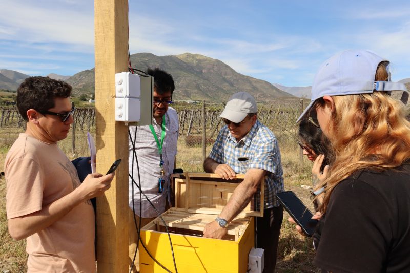 Proyecto SMARTBEE impulsa colmenas inteligentes en el Limarí para fortalecer la apicultura femenina