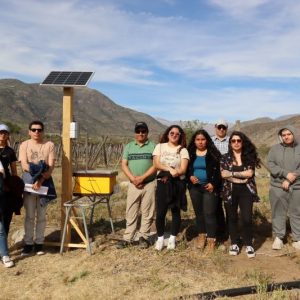 Proyecto SMARTBEE: Colmenas inteligentes en el Limarí
