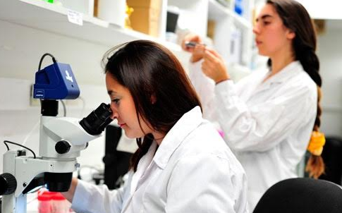 UST se adjudica proyecto InES I+D para potenciar competencias institucionales en innovación